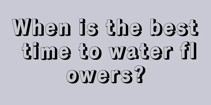 When is the best time to water flowers?
