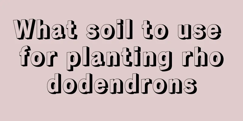 What soil to use for planting rhododendrons