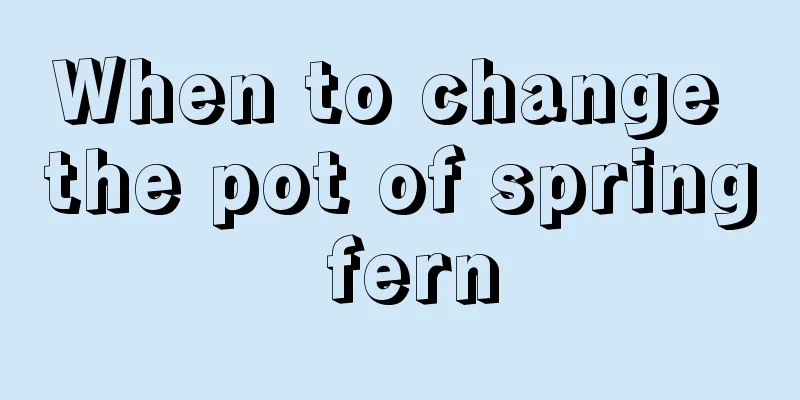 When to change the pot of spring fern