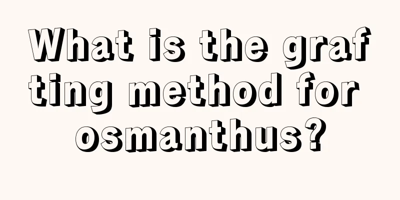 What is the grafting method for osmanthus?