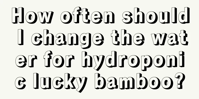 How often should I change the water for hydroponic lucky bamboo?