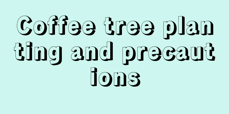 Coffee tree planting and precautions