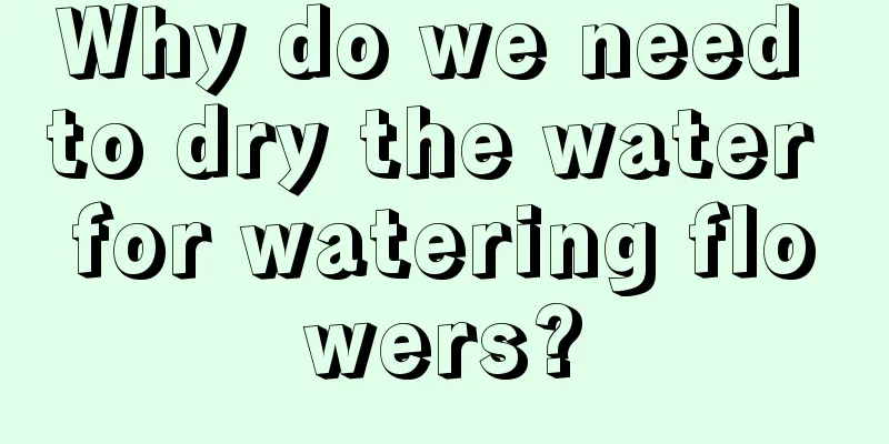 Why do we need to dry the water for watering flowers?