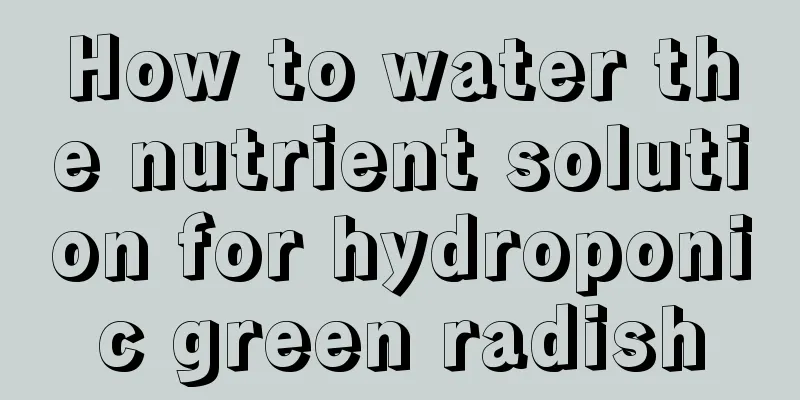 How to water the nutrient solution for hydroponic green radish