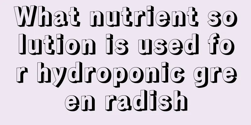 What nutrient solution is used for hydroponic green radish