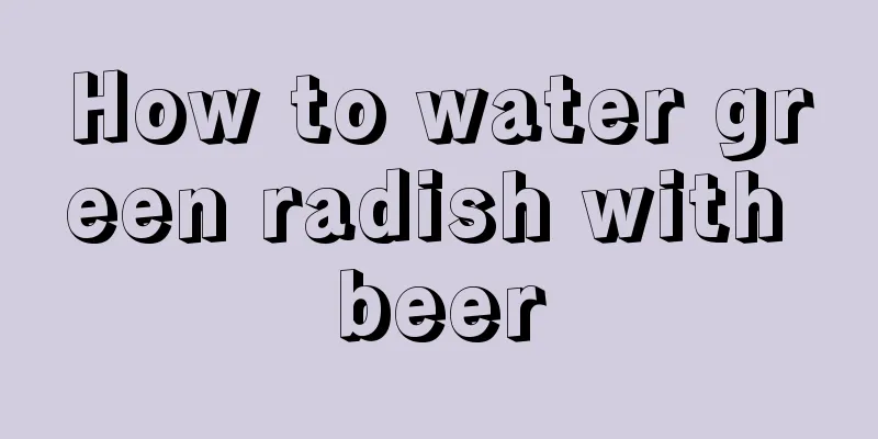 How to water green radish with beer