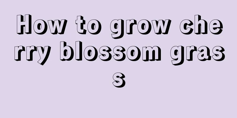 How to grow cherry blossom grass