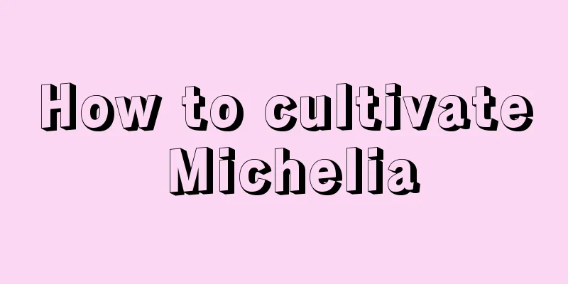 How to cultivate Michelia