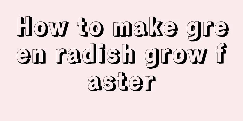 How to make green radish grow faster