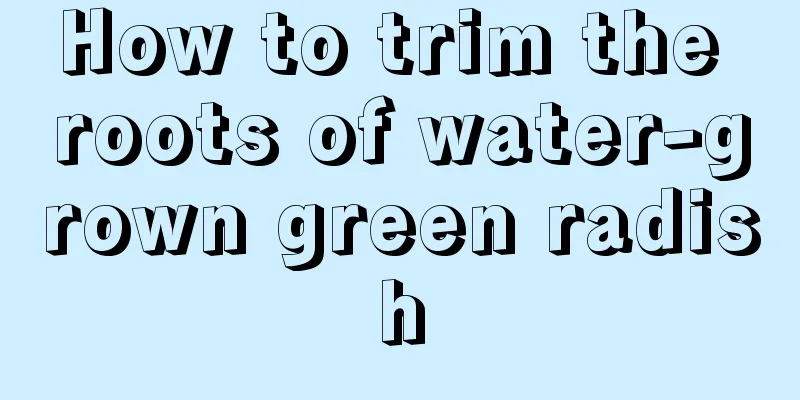 How to trim the roots of water-grown green radish