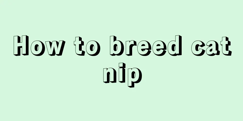 How to breed catnip