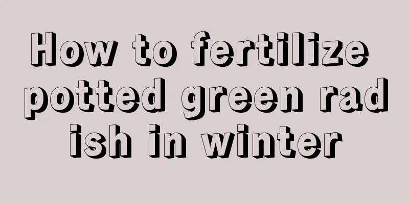 How to fertilize potted green radish in winter