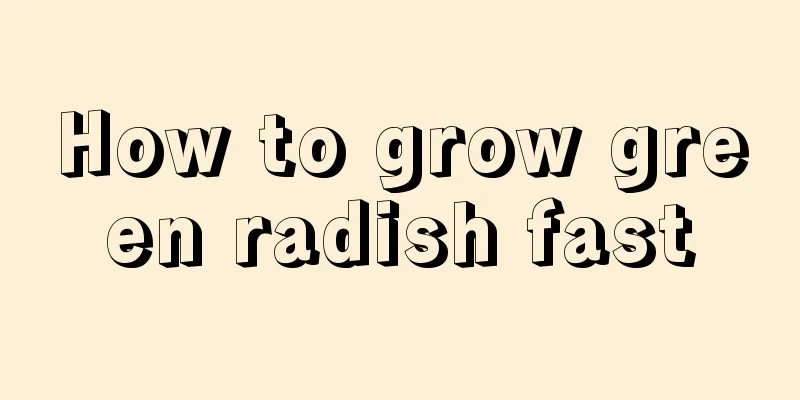 How to grow green radish fast