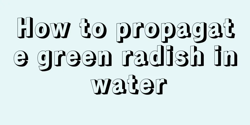 How to propagate green radish in water