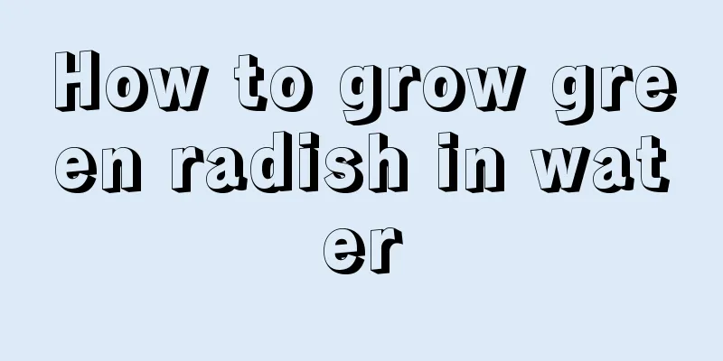 How to grow green radish in water