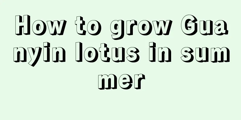 How to grow Guanyin lotus in summer