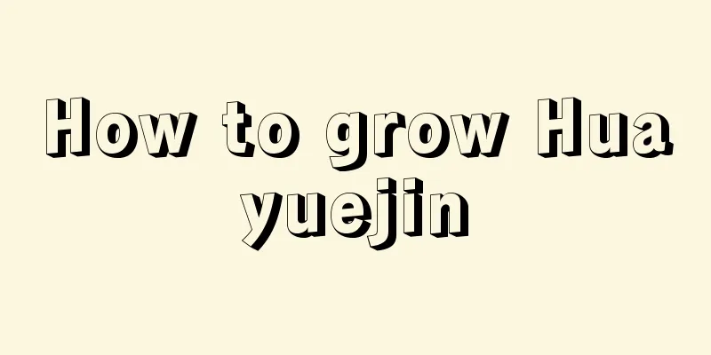 How to grow Huayuejin