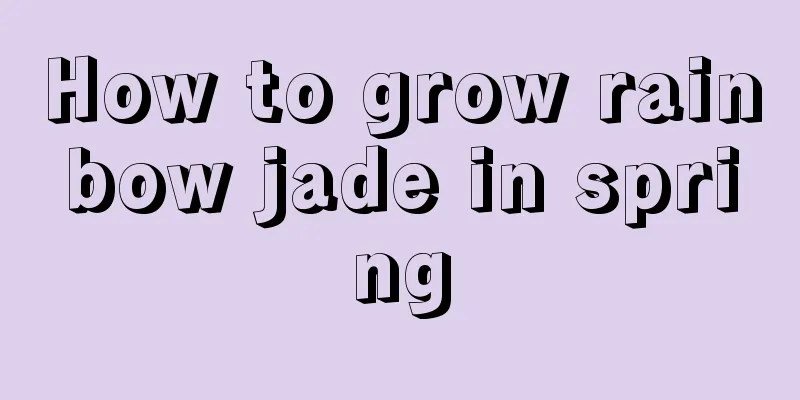 How to grow rainbow jade in spring