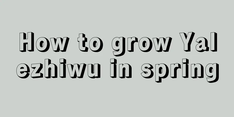 How to grow Yalezhiwu in spring