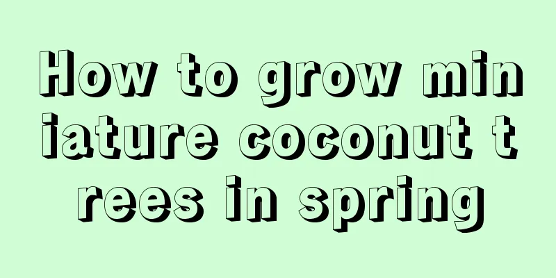 How to grow miniature coconut trees in spring