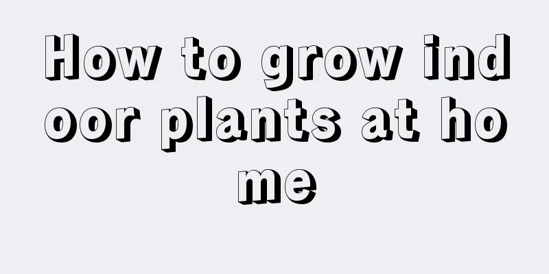 How to grow indoor plants at home