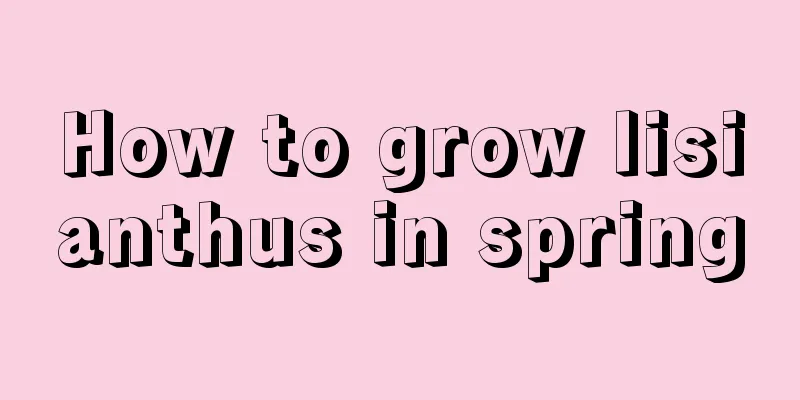 How to grow lisianthus in spring