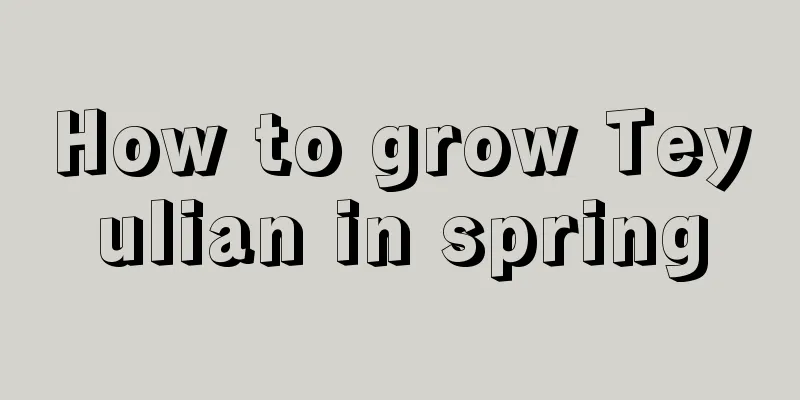 How to grow Teyulian in spring