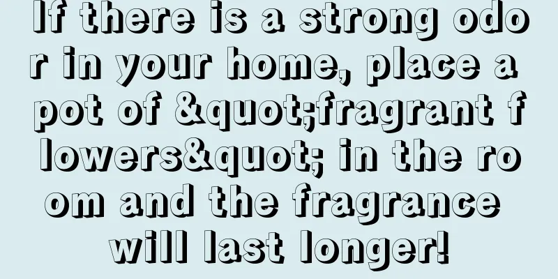 If there is a strong odor in your home, place a pot of "fragrant flowers" in the room and the fragrance will last longer!