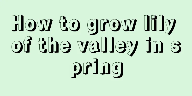 How to grow lily of the valley in spring