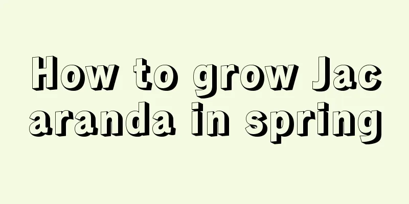 How to grow Jacaranda in spring