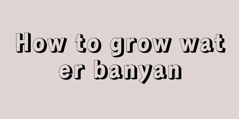 How to grow water banyan