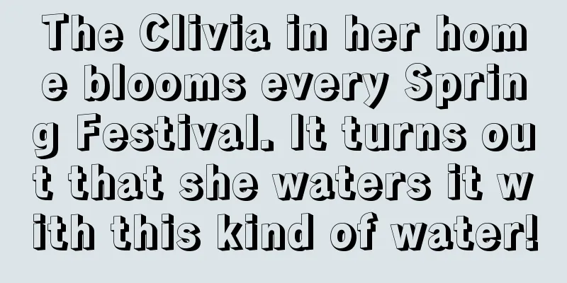 The Clivia in her home blooms every Spring Festival. It turns out that she waters it with this kind of water!