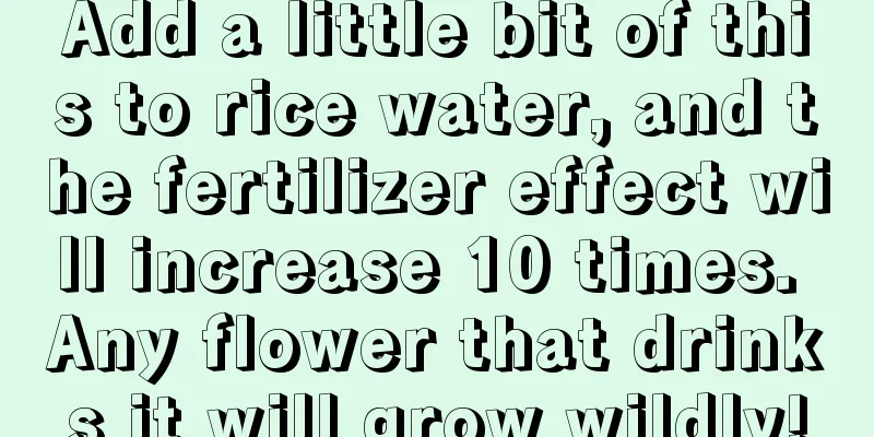 Add a little bit of this to rice water, and the fertilizer effect will increase 10 times. Any flower that drinks it will grow wildly!