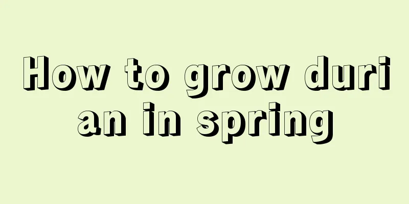 How to grow durian in spring