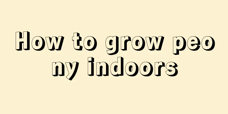 How to grow peony indoors