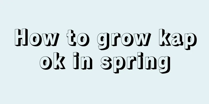 How to grow kapok in spring