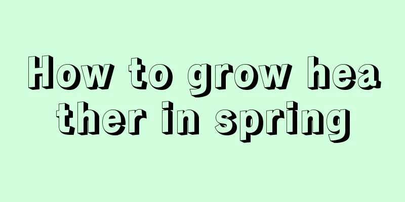 How to grow heather in spring