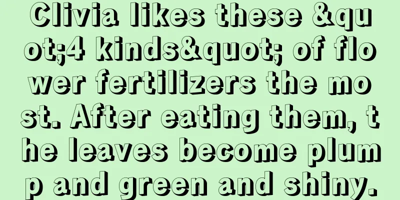 Clivia likes these "4 kinds" of flower fertilizers the most. After eating them, the leaves become plump and green and shiny.
