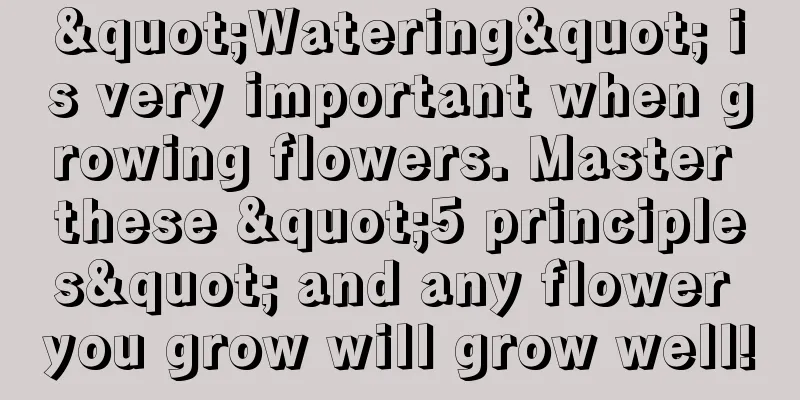 "Watering" is very important when growing flowers. Master these "5 principles" and any flower you grow will grow well!