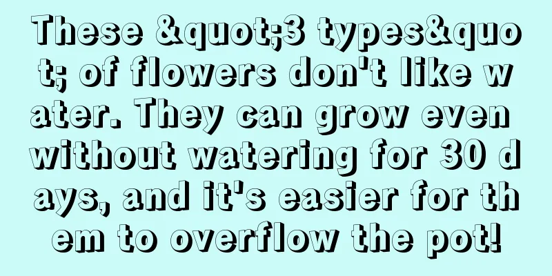 These "3 types" of flowers don't like water. They can grow even without watering for 30 days, and it's easier for them to overflow the pot!