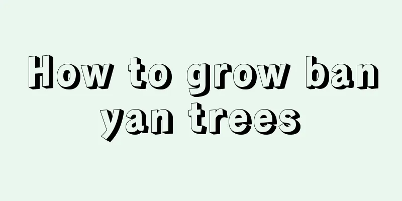 How to grow banyan trees