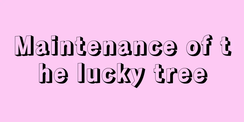 Maintenance of the lucky tree