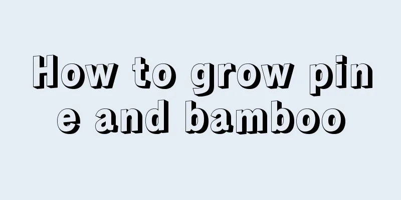 How to grow pine and bamboo