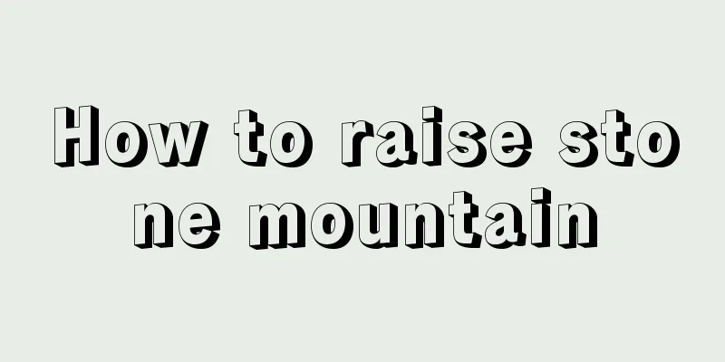 How to raise stone mountain