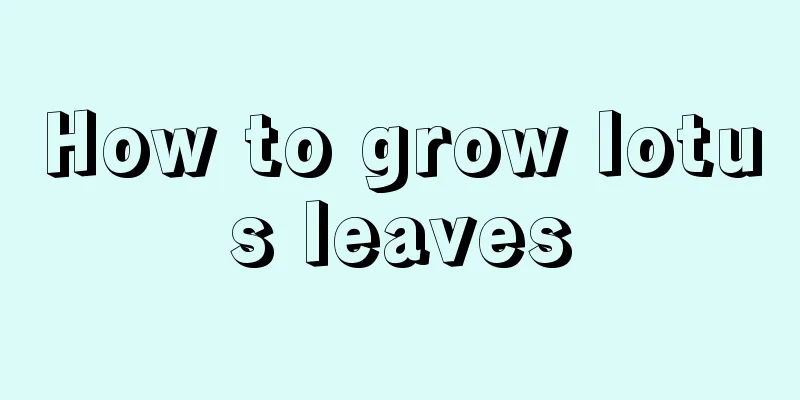 How to grow lotus leaves