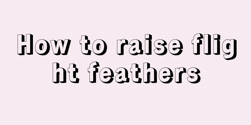 How to raise flight feathers