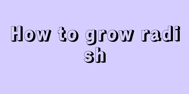 How to grow radish