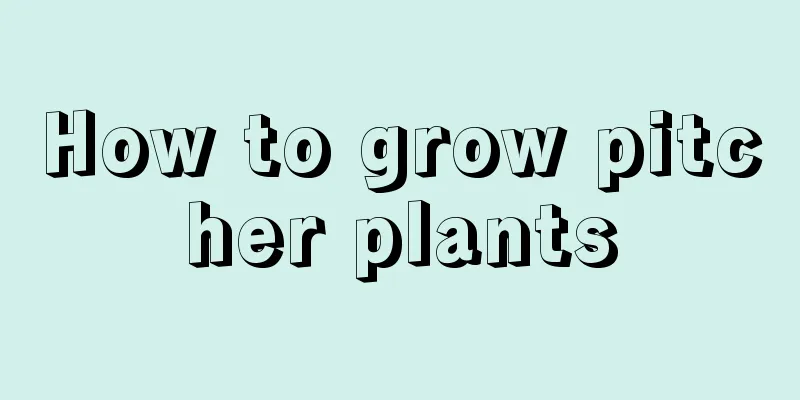 How to grow pitcher plants