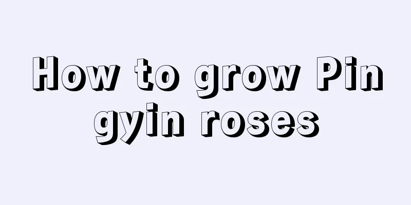 How to grow Pingyin roses