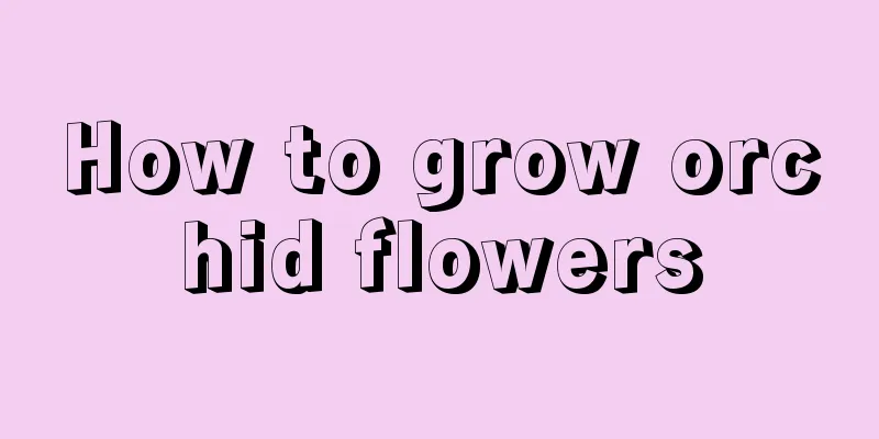 How to grow orchid flowers